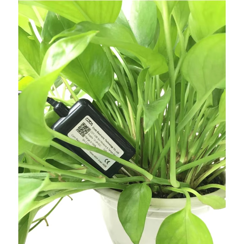 RS485 4-20mA Portable Soil Moi - đánh giá và giá Temperature Humidity Sensor