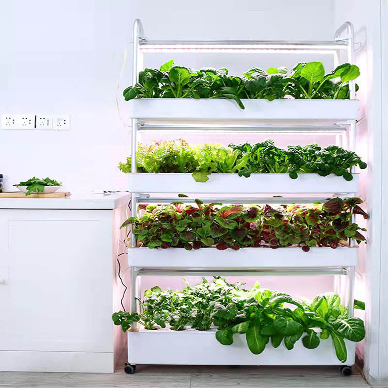 ydroponic Planting System Smar - đánh giá và giá Diy Home Automation System