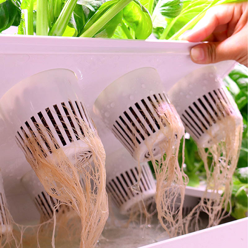 ydroponic Planting System Smar - đánh giá và giá Diy Home Automation System