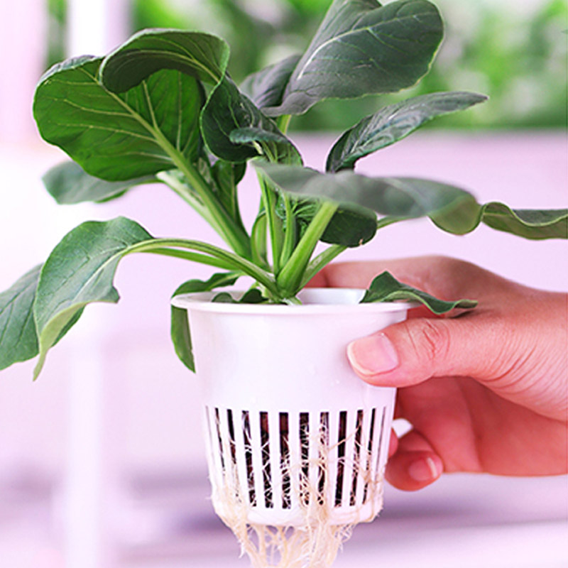 ydroponic Planting System Smar - đánh giá và giá Diy Home Automation System