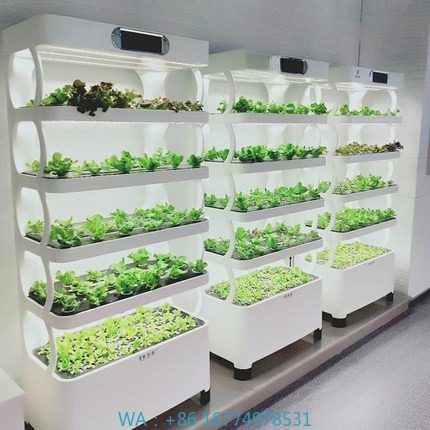 Hydroponic Automated Grow Syst - đánh giá và giá Diy Home Automation System